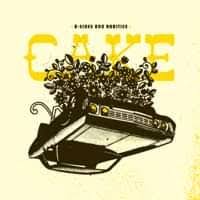 CAKE- B-SIDES & RARITIES- USED CD