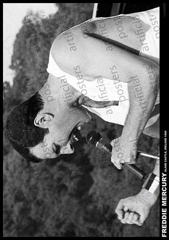 PER8666-FREDDIE MERCURY SLANE CASTLE IRELAND 1986 - LARGE POSTER 24X36"