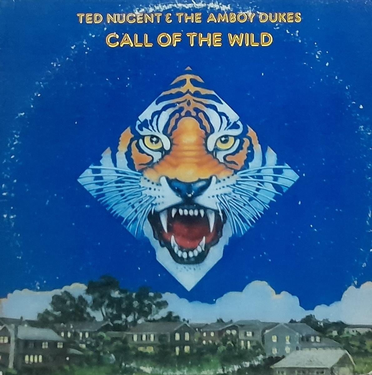 TED NUGENT & THE AMBOY DUKES - CALL OF THE WIND - 1974 - *(NM) - USED VINYL