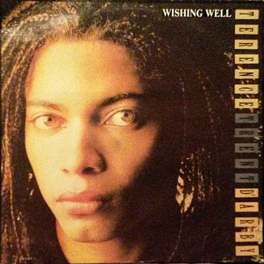 TERENCE TRENT D'ARBY - WISHING WELL - USED VINYL